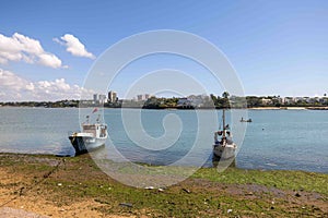 three small boats sitting on top of the water next to a shore