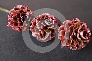 Three small bumps pink colored lacquer as a decorative element on a black background