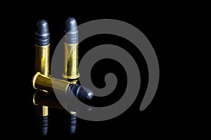 Three small caliber .22 bullets