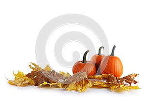 Three small pumpkins on fall leaves