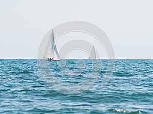 Three small sailboats sailing in a sunny day