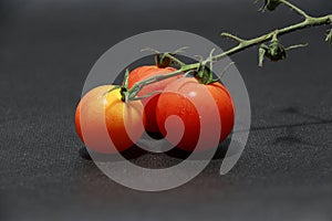 Three small tomato with stalk on the black floor. a glossy red.