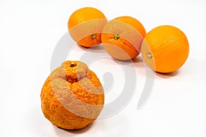 Orange Oddity photo