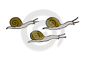 Three snails