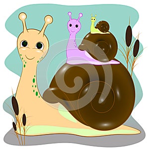 Three snails cartoon illustration