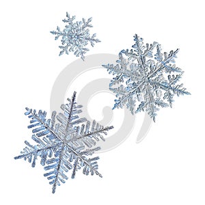 Three snowflakes on white background