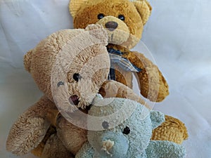 Three soft teddy bears toys for children