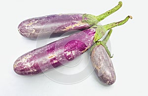 three Solanum melongena or purple eggplant