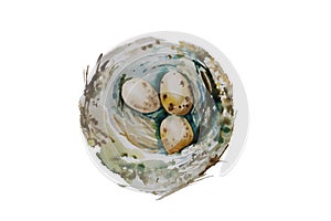 Three spotted eggs in the nest isolated on white background. Watercolor illustration of wild bird nest with small eggs