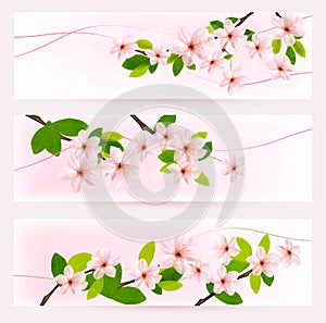 Three spring banners with blossoming tree brunch