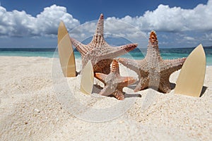 Three starfish surfers on beach