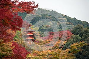 Three-storied pagoda surrounded by the red leaves of autumn at the Kiyomizu-dera temple, Kyoto, Japan