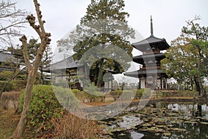 Three story pagoda and pond of Hokki ji