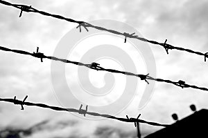 Three strands of barbed wire on the impassable border of the protected area in black and white effect photo