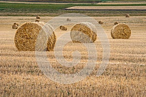 Three straw bales of hay on agricultural field