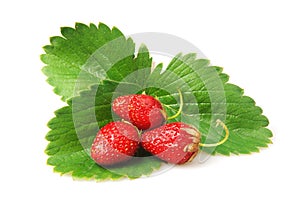 Three strawberries