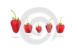 Three strawberries isolated