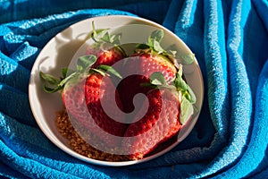 Three strawberries and sugar cane on blue cloth background in white bowl