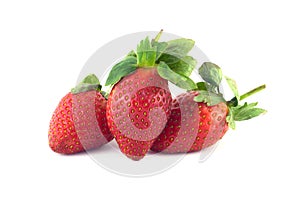 Three strawberry fruits isolated on white closeup