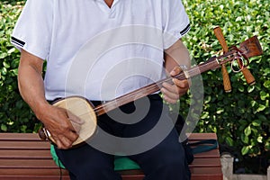 Three-stringed Chinese guitar