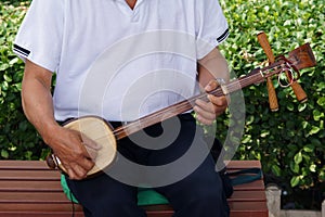 Three-stringed Chinese guitar photo