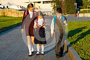 Three students go to the park and read an interesting book