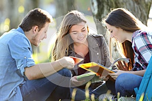 Three students studying outdoors on the grass