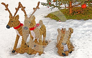 Three stuffed reindeer in Winter snow Christmas display