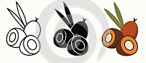 Vector Palm Fruit, 3 versions, outline, silhouette and colored