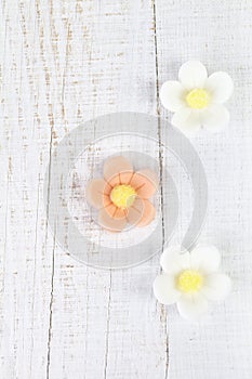 Three sugar blossom flowers on white old table