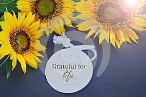 Three sunflowers with text message - Grateful for life.