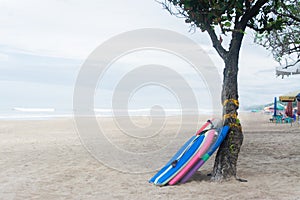 Three Surfing Board Under The Tree in Seminyak Beach Kuta Bali