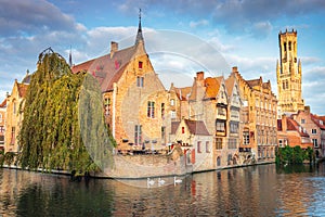 Three swans in peaceful rozenhoedkaai, medieval Bugge, Belgium