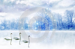 Three swans with romantic winter landscape in fantastic style