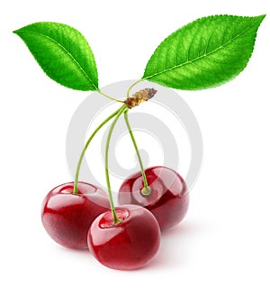 Three sweet cherries