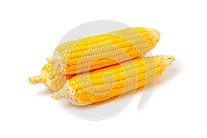 Three of Sweet corn isolated on white background