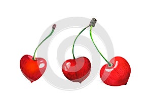 Three sweet heart shaped red cherries isolated watercolor illustration