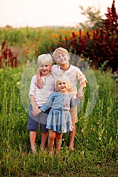 Three Sweet Little Farm Children Posing for Portrait in Country Garden