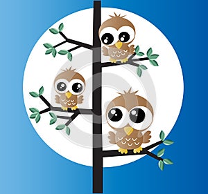 Three sweet little owls in a tree