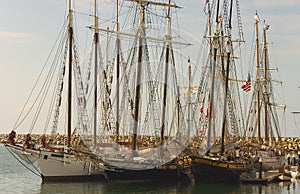 Three Tall Ships in Dana Point