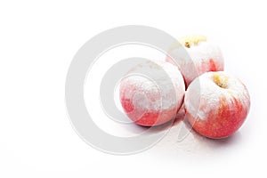 Three tasty apples under the snow on an isolated background