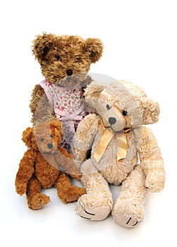 Three teddies