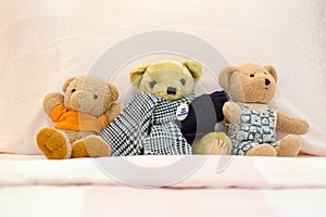 Three teddy bears dolls