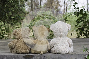 Three teddy bears sitting