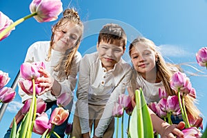 Three teenagers bend over blooming tulips against the blue sky, view from below