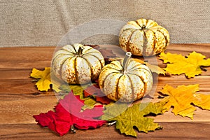 Three Thanksgiving pumpkins and dried leaves