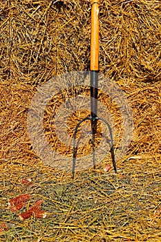three tined fork leans against a straw pile. photo