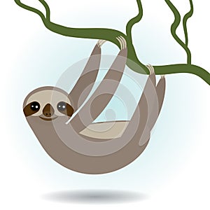 Three-toed sloth on green branch on white