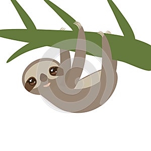 Three-toed sloth on green branch on white background. Vector