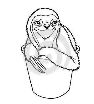 Three-toed sloth hand drawing photo